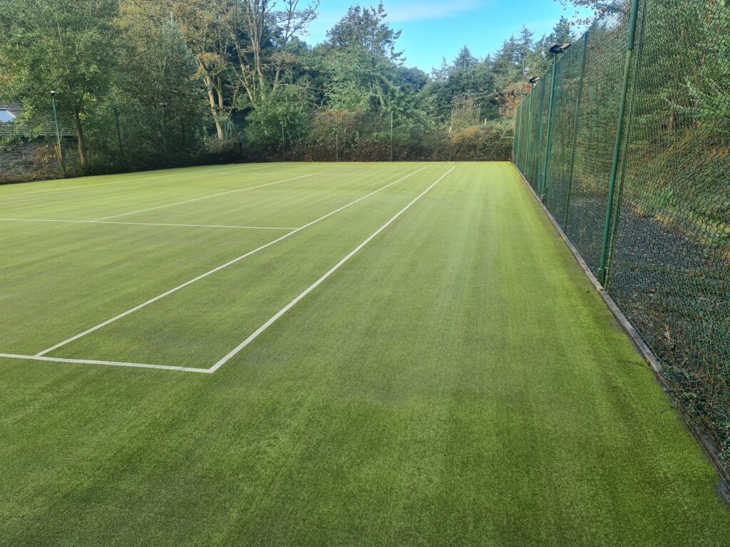 11-After-Extraction-1024x768