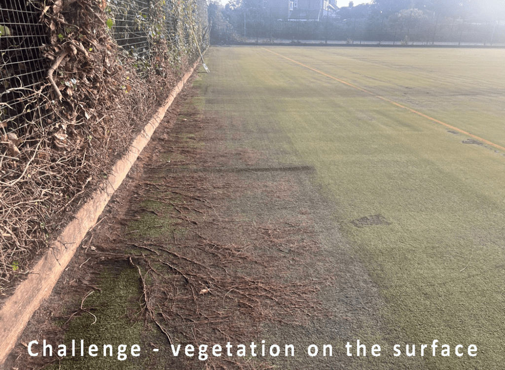 Roots-on-the-surface-1024x750