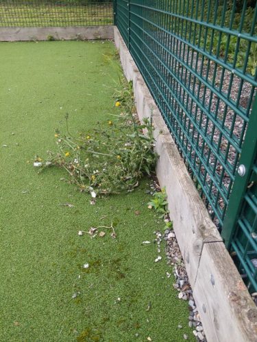 32bdf081b86849acbb7a1034a615f785_Workforce_1694853192173-2-768x1024