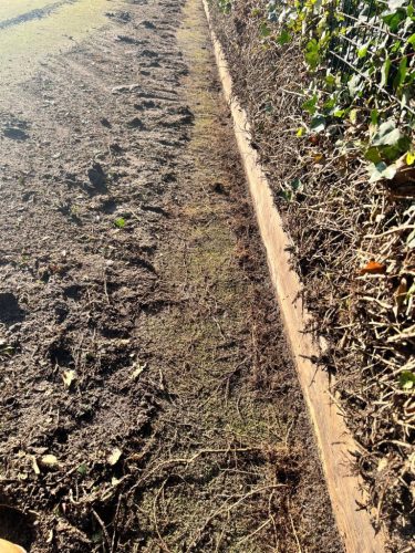 eff6eacfcd494de0a9b88306e1ac8f59_image_REP93903_202310161522173292-768x1024